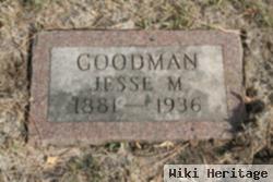 Jesse M Goodman