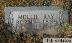 Mary Elizabeth "mollie" Laney Ray