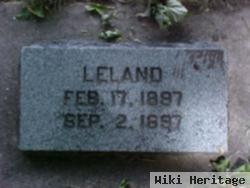 Leland Thomson