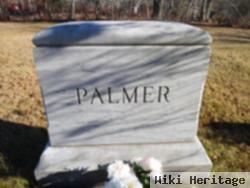 Albion K. Palmer