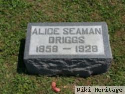 Alice Seaman Driggs