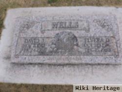 Elvira Wells Wells