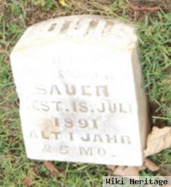 Ludwig "louis" Sauer