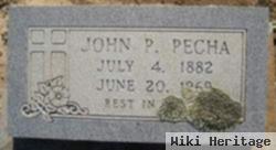 John P Pecha