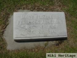 Mary Elizabeth Fergurson Anderson