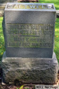 Mary Emily Saltwell