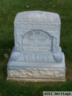 Mary Almira Lane Wilkins