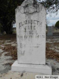 Elizabeth Jane Slaughter Tison