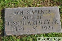 Agnes H Wilkes Dibley