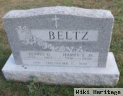 Kerwin D Beltz