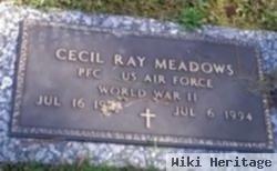Cecil Ray Meadows
