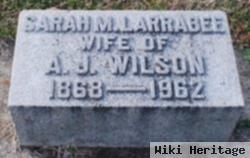 Sarah Melvina Larrabee Wilson