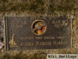 Audra Radine Harkey