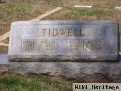 Sarah Elnora "nellie" Hogin Tidwell