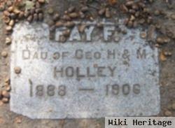 Fay F Holley