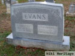 Julia Ann Hoke Evans