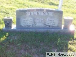 Nancy A Holeston Elkins