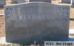 George Irvin Hawkins