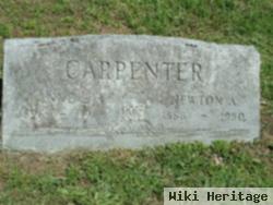 Anne E Carpenter