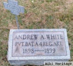 Andrew A White