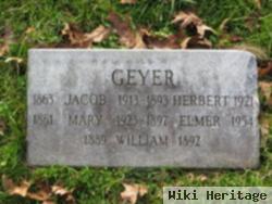 Jacob W Geyer