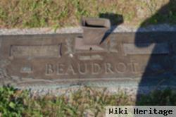 Theodore S Beaudrot