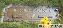 Mary N Robison