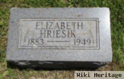 Elizabeth Hriesik