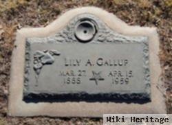 Lily A. Zentmeyer Gallup