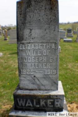 Elizabeth Ann Wolf Walker