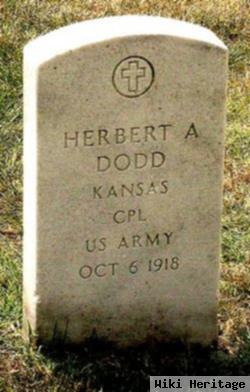 Corp Herbert Ancil Dodd