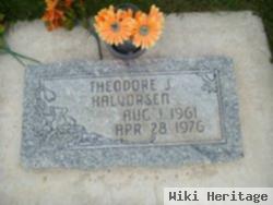 Theodore J. Halverson