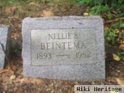 Nellie B Broere Beintema