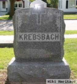 Mary Ann Noll Krebsbach