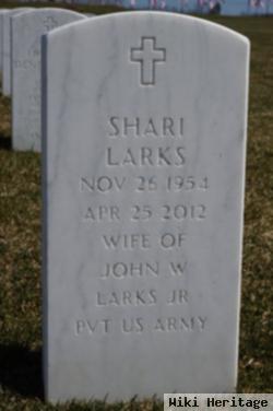 Shari Underwood Larks