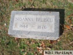 Susanna Moll Breisch