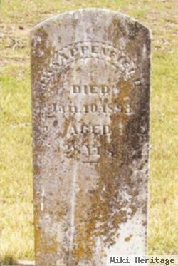 Jesse Wilbert Sappenfield