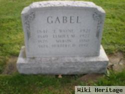 Myron Gabel