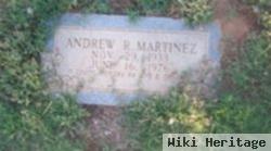 Andrew R Martinez