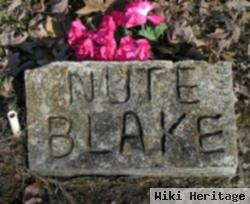 David Newton Blake