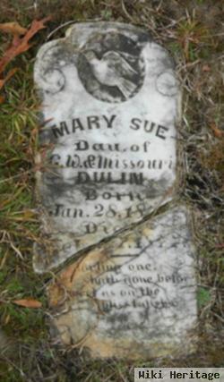 Mary Sue Dulin