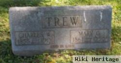 Mary G Trew