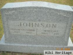 Henry Eli Johnson