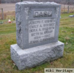 Joseph F Case