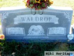 James Willard Waldrop