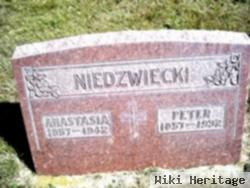 Peter Niedzwiecki