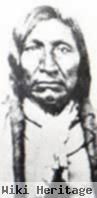 Chief Yellow Bear