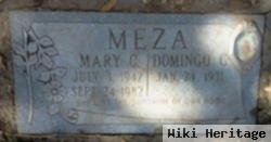 Mary C Meza