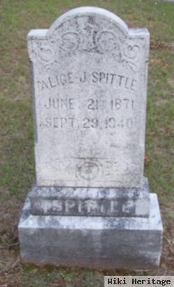 Alice J Spittle