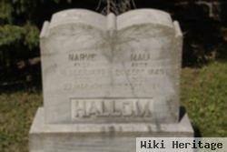 Narve Helgeson Hallom